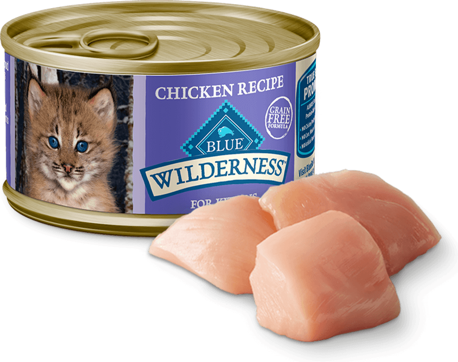 BLUE Buffalo Wilderness Chicken Recipe - Kitten